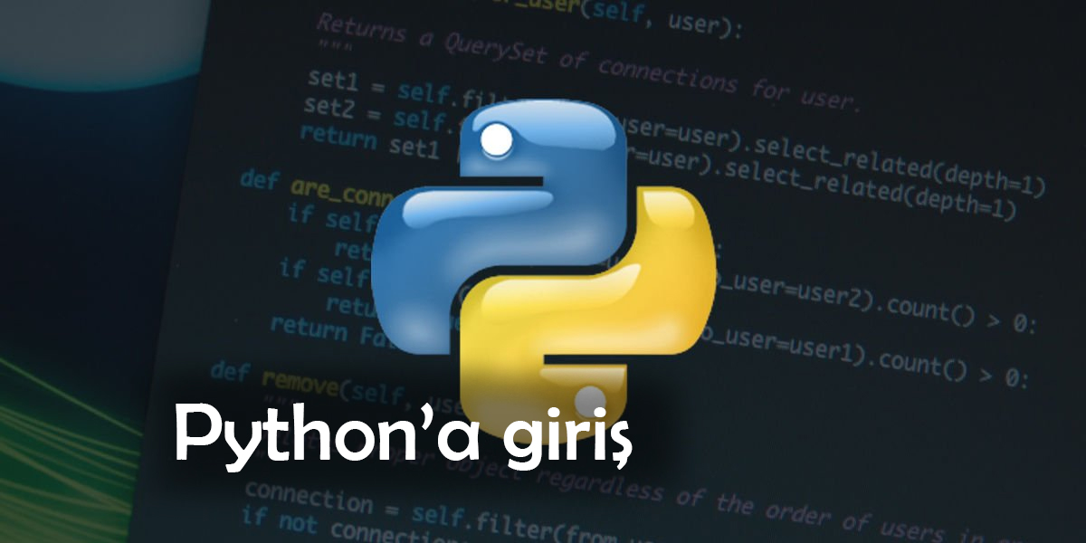 Python'a Giriş: Temel Kavramlar ve Örnekler